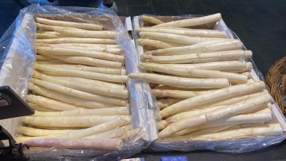 Spargel Bild
